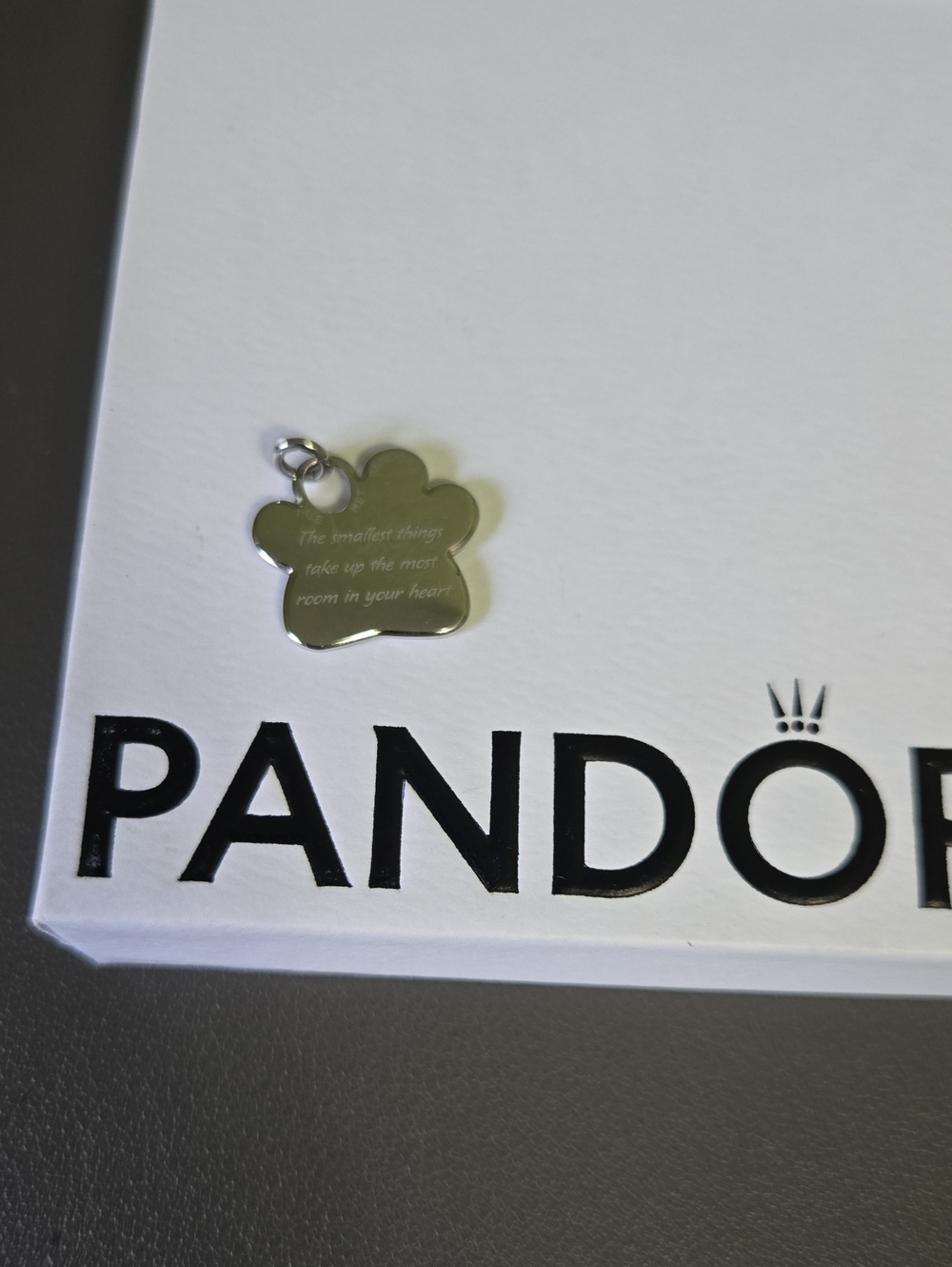 Pandora Silver Paw-Shaped Necklace Charm